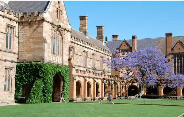 第三名:悉尼大學 the university of sydney